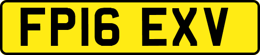 FP16EXV
