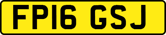 FP16GSJ