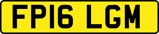 FP16LGM