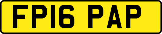FP16PAP