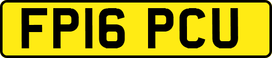 FP16PCU