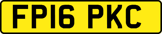 FP16PKC
