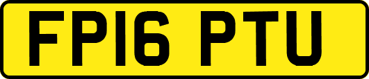 FP16PTU