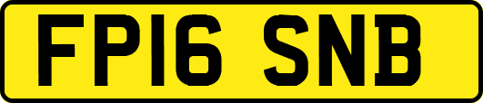 FP16SNB