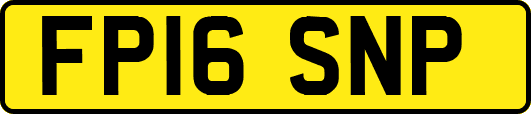 FP16SNP