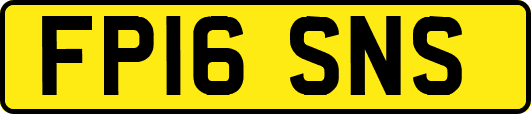 FP16SNS