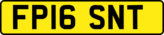 FP16SNT