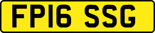 FP16SSG