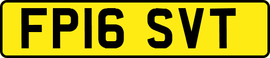 FP16SVT