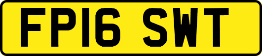 FP16SWT