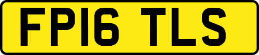 FP16TLS