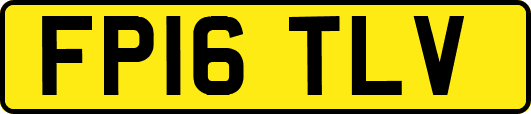 FP16TLV