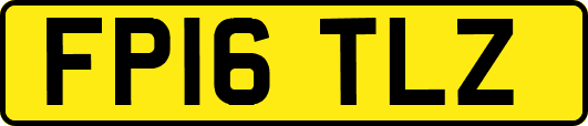 FP16TLZ