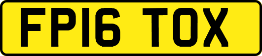 FP16TOX