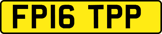 FP16TPP