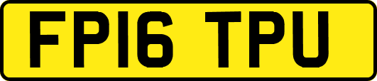 FP16TPU
