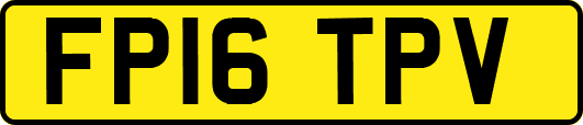 FP16TPV