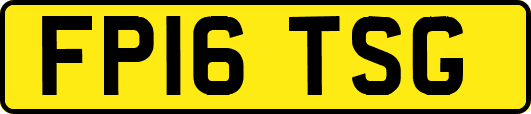 FP16TSG