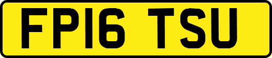 FP16TSU