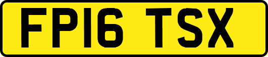 FP16TSX