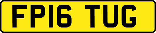 FP16TUG