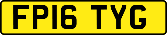 FP16TYG