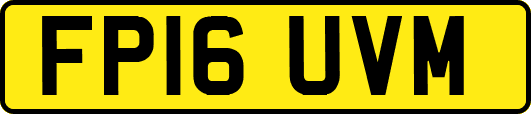 FP16UVM