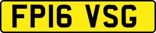 FP16VSG