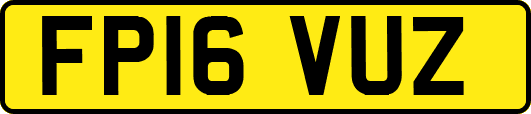 FP16VUZ