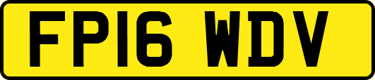 FP16WDV