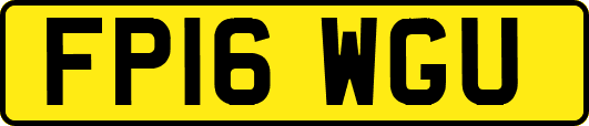 FP16WGU