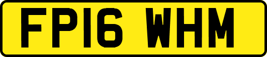 FP16WHM