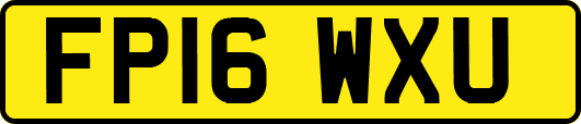 FP16WXU