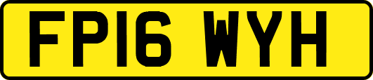 FP16WYH