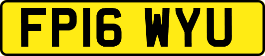 FP16WYU