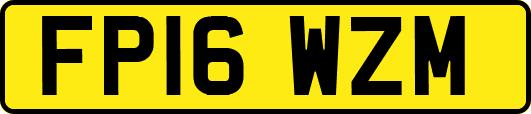 FP16WZM