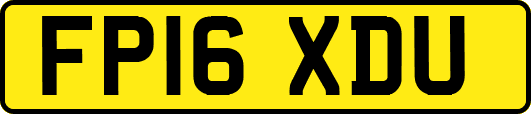 FP16XDU