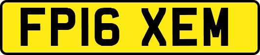 FP16XEM