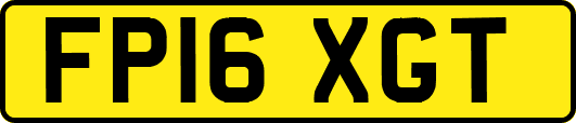 FP16XGT