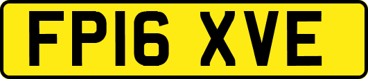 FP16XVE