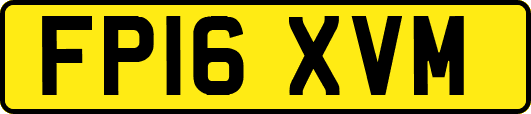 FP16XVM