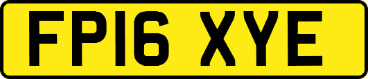 FP16XYE