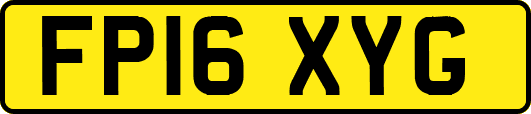 FP16XYG