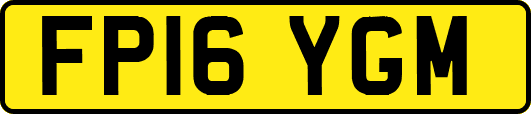 FP16YGM