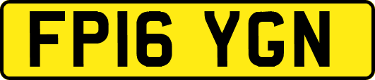FP16YGN