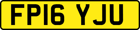FP16YJU
