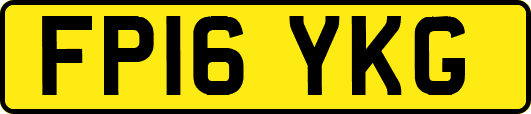 FP16YKG