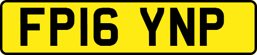 FP16YNP