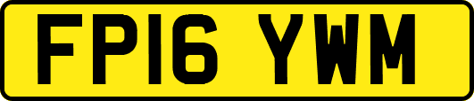 FP16YWM