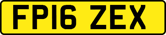 FP16ZEX